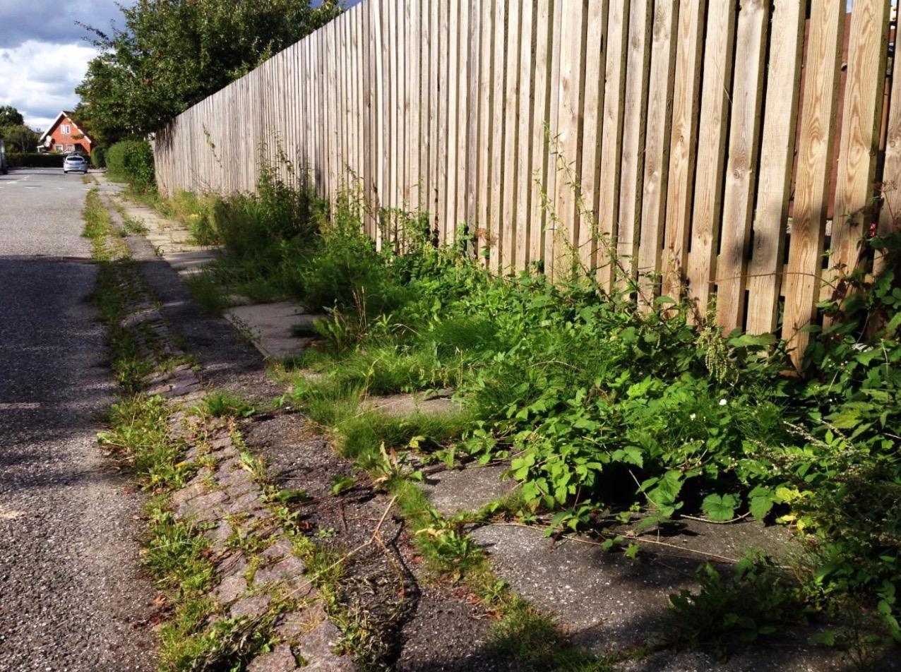 Et ikke ryddet fortorv i Hvidovre